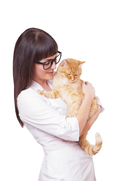 Portrait of a beautiful woman holding red cat Royalty Free Stock Images