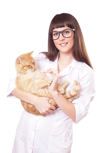 Portret van een mooie vrouw bedrijf rode kat — Stockfoto