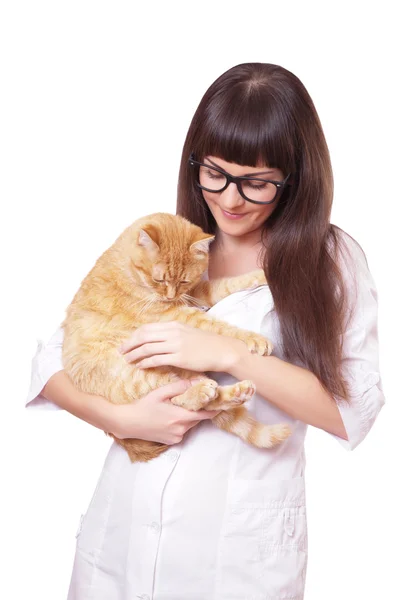 Retrato de una hermosa mujer sosteniendo gato rojo — Foto de Stock
