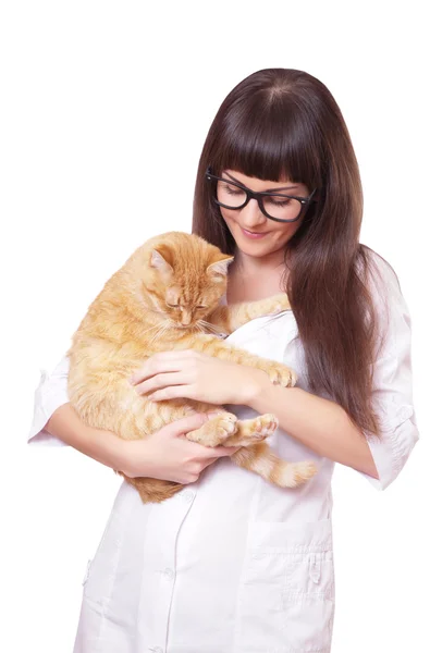 Retrato de uma bela mulher segurando gato vermelho — Fotografia de Stock