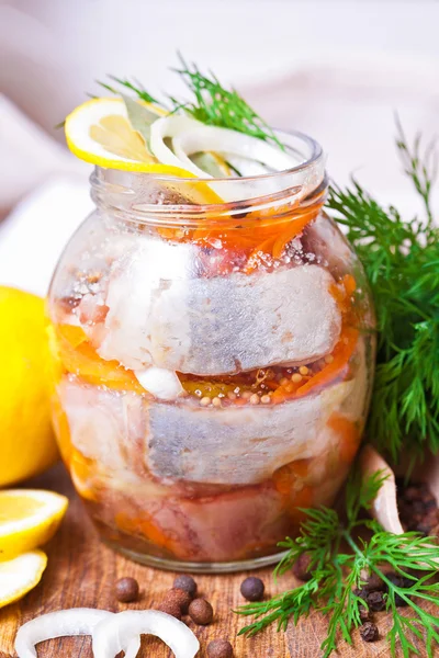 Marine balık cam kavanozda