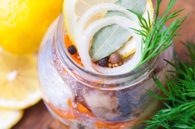 Bir kavanoz içinde Marine ringa balığı