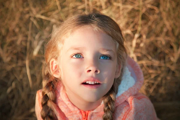 Retrato de una niña con ojos azules y coletas — Foto de Stock