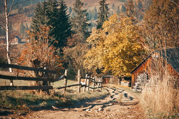 森の古い家 — ストック写真