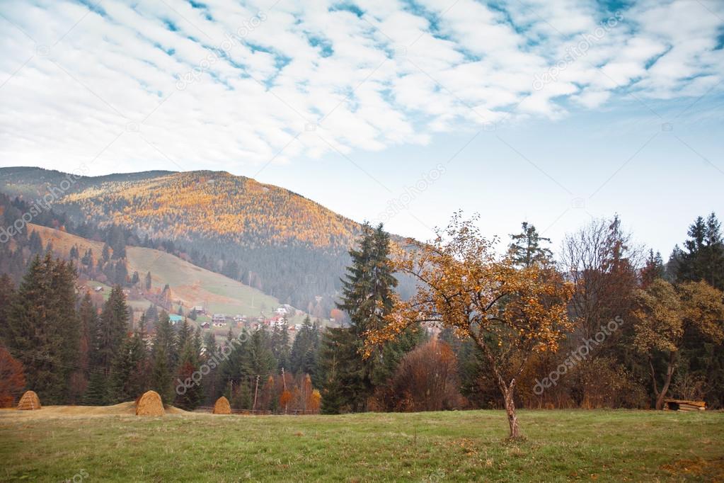 Autumn scenery of the mountain slope