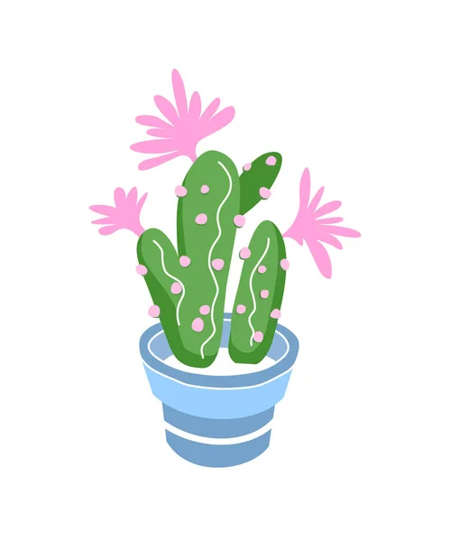 Cactus sur fond blanc. Cartoon cactus dans une casserole. Plante épineuse. — Image vectorielle