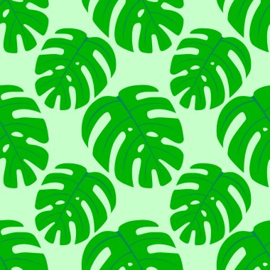 Monstera vektörü tekstil için renksiz arkaplan