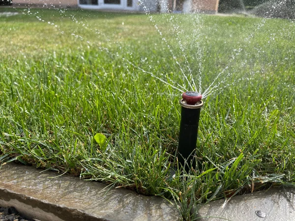 Autowatering Trädgård Och Grönsaksträdgård Gräs Sommar — Stockfoto