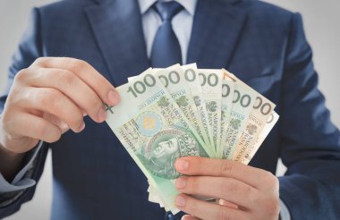 Takım elbiseli adam Polonya banknotlarını sayıyor. Hükümet desteği, şirketlerin konsepti için yardım programları