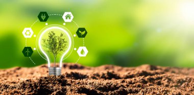 Çevre koruma, yenilenebilir, sürdürülebilir enerji kaynakları. Ampul konseptinde bitki yetişiyor.