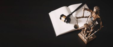 Bayan Adalet. Kütüphanede Adalet Anıtı. Hukuk ve hukuk geçmişi kavramı