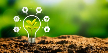 Ampul ve bitki ile sürdürülebilir enerji kaynakları kavramı
