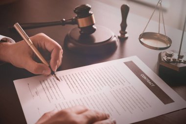 Avukat, muhasebeci, büroda çalışan noter. Hukuk ve adalet kavramı