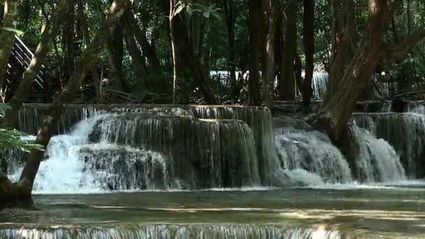 Chute Eau Forêt Tropicale Profonde Courant Descend Rapidement Chaque Étape — Video