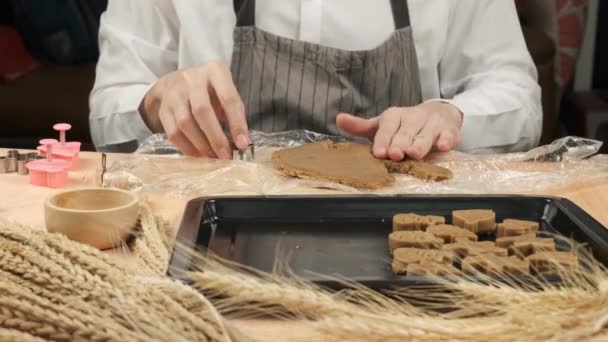 Šéfkuchař Hnětení Béžové Těsto Sušenky Před Lisováním Tvaru Formy — Stock video