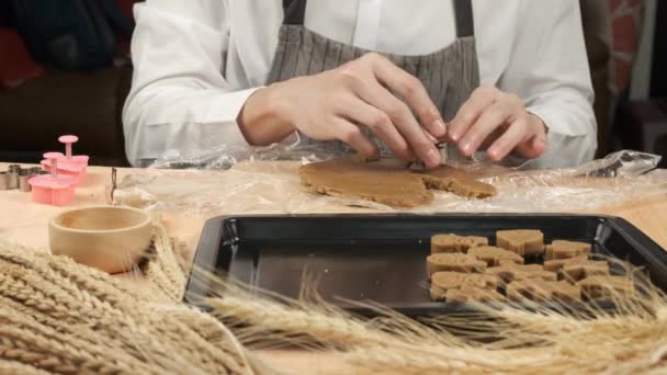 Chef Ramasser Moule Forme Inoxydable Appuyez Sur Pâte Biscuits Beige — Video