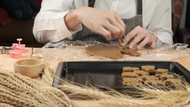 Chef Pick Stainless Shape Mold Cookie Dough — Stock Video