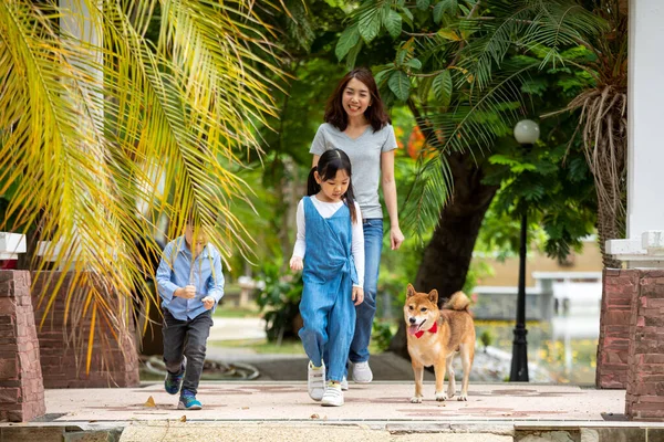 Asyalı anne ve iki çocuk halk parkında Shiba inu köpeğiyle birlikte yürüyorlar. Evcil hayvanla mutlu aile