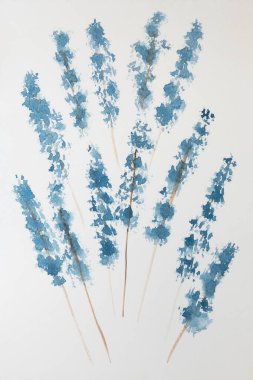 Suluboya renkli renkli mavi çiçek dalı beyaz kağıt üzerinde yaprak