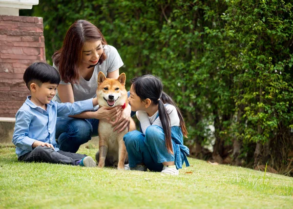 Madre Asiática Dos Niños Sentados Jugando Juntos Con Perro Shiba — Foto de Stock