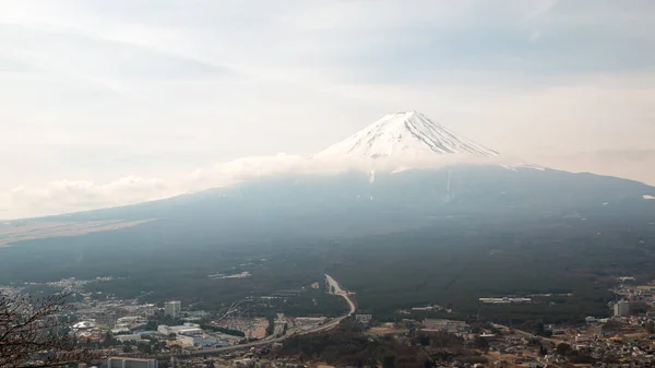 Nube Alrededor Del Monte Fuji Con Muchas Plantas Primer Plano —  Fotos de Stock