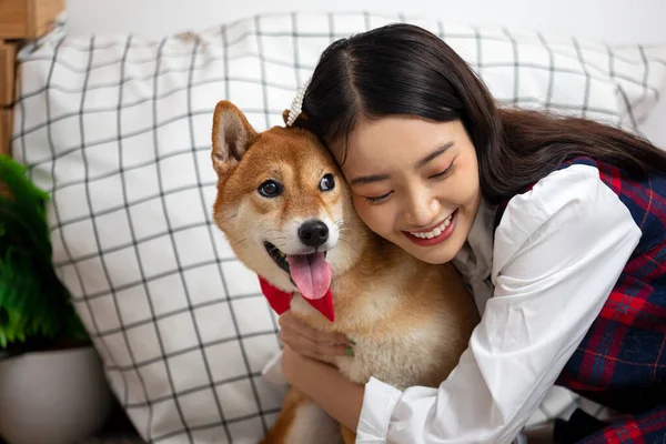 Asyalı kadın oturma odasında oturmuş Shiba Inu köpeğine sarılıyor, Mutlu kız aşk hayvanı konseptini oynuyor.