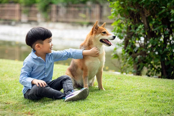 Азиатский Мальчик Сидит Играет Вместе Собакой Сиба Ину Общественном Парке — стоковое фото