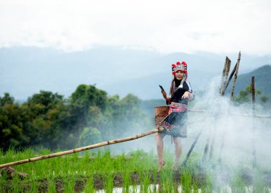Geleneksel etnik kıyafetli kadın pirinç tarlasında bambu köprüsünde çıplak ayakla dikiliyor, akıllı bir telefon tutuyor ve sakin bir ifadeyle ileriye bakıyor, sisli kırsal dağ manzarası ve yemyeşil yemyeşil ile çevrili.