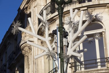Christmas tree in Orleans, Indre-et-Loire, Centre-Val de Loire, 