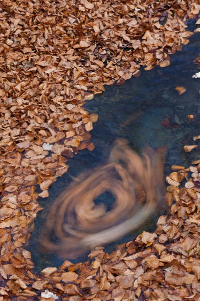 가을, 숲의 Otzarreta 강 — 스톡 사진
