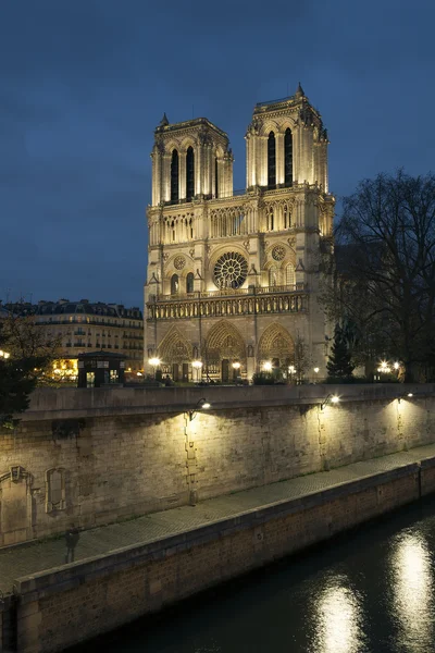 Notre dame-katedrális, az Ile de France, Párizs, Franciaország — Stock Fotó