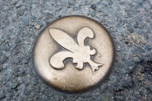 Emblem in the city of Blois, Loire valley,  Loire et cher, Centr — Stock Photo, Image