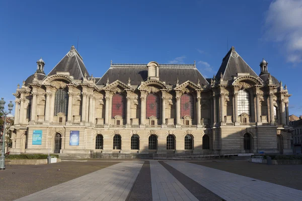 Museum der schönen Künste von lille, nord, nord-pas-de-calais, Frankreich — Stockfoto