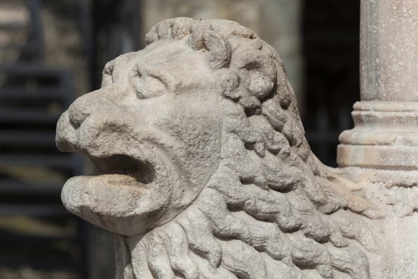 Leone nella città di Bergamo, Lombardia, Italia — Foto Stock