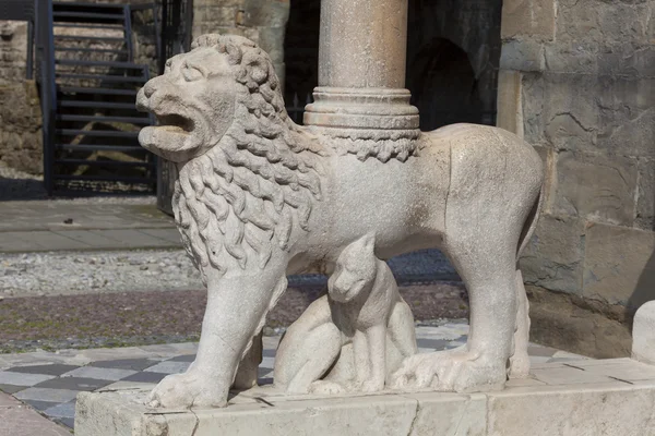 Leone nella città di Bergamo, Lombardia, Italia — Foto Stock