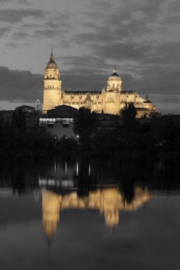 Katedral Salamanca, castilla y leon, İspanya