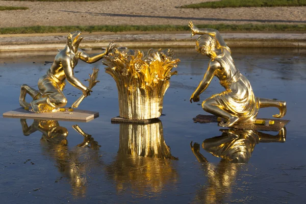 Fountain in the castle of Versailles, Ile de France, France — Stock Photo, Image