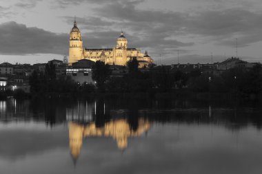 Katedral Salamanca, castilla y leon, İspanya