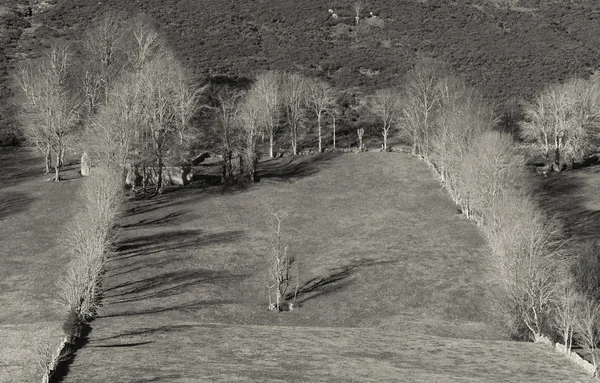 Estacas de Trueba souillure, Burgos, Castilla y Leon, Espagne — Photo