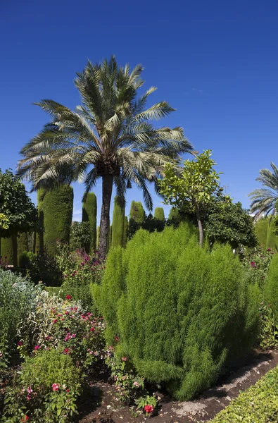 Gardens and fountains of the Alcazar de los Reyes Catolicos, Co — Stock Photo, Image