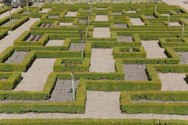 Ogrody Zamku Villandry, Indre-et-Loire, Francja — Zdjęcie stockowe