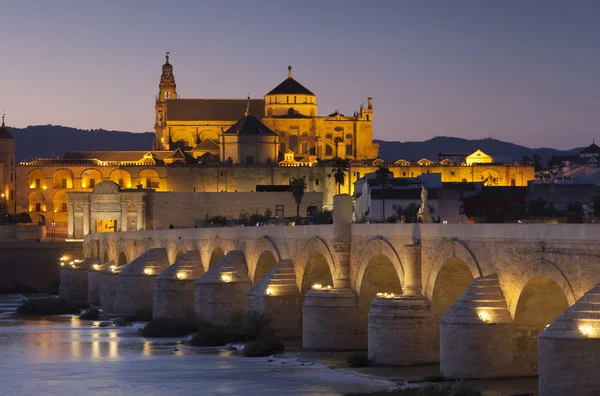 Římský most a mešita katedrála, Cordoba, Andalusie, Španělsko — Stock fotografie