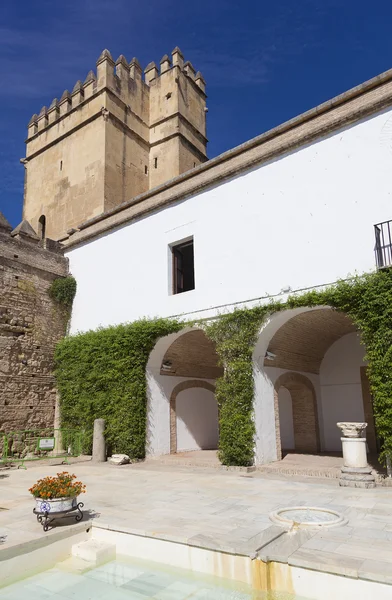 Jardines y fuentes del Alcázar de los Reyes Catolicos, Co — Foto de Stock