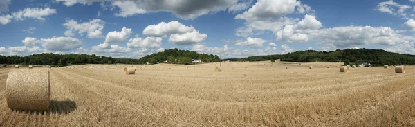 Соломенные тюки в департаменте Сарте, Pays de la Loire, Франция — стоковое фото