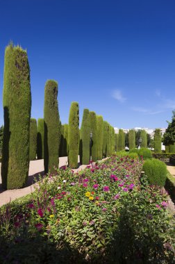 Bahçeleri ve çeşmeler Alcazar de los Reyes Catolicos, Co