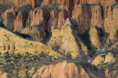 Toro, Zamora, Castilla y Leon, İspanya 'daki Çorak Topraklar