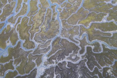 Santona Körfezi 'ndeki bataklık, Laredo, Cantabria, İspanya