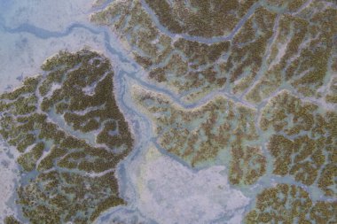 Santona Körfezi 'ndeki bataklık, Laredo, Cantabria, İspanya