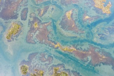 Santona Körfezi 'ndeki bataklık, Laredo, Cantabria, İspanya