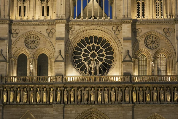 Részletesen a Notre-Dame székesegyház, Párizs, Ile de France, Fra — Stock Fotó